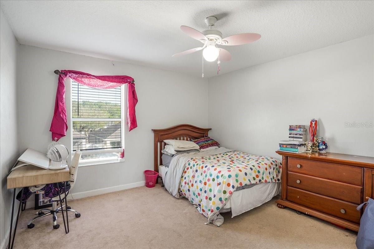 20427 CAROLINA CHERRY CT, TAMPA, FL — photo 59