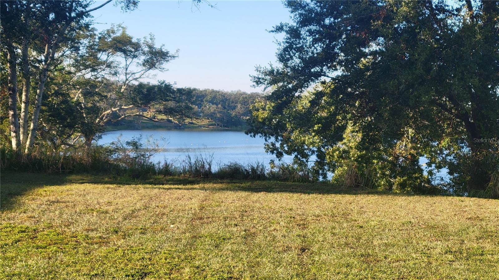 16915 FLORENCE VIEW DR, MONTVERDE, FL