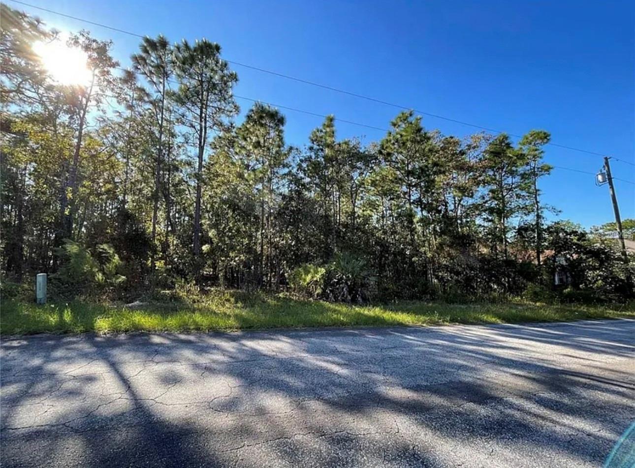 16 MAYTEN CT N, HOMOSASSA, FL — photo 3