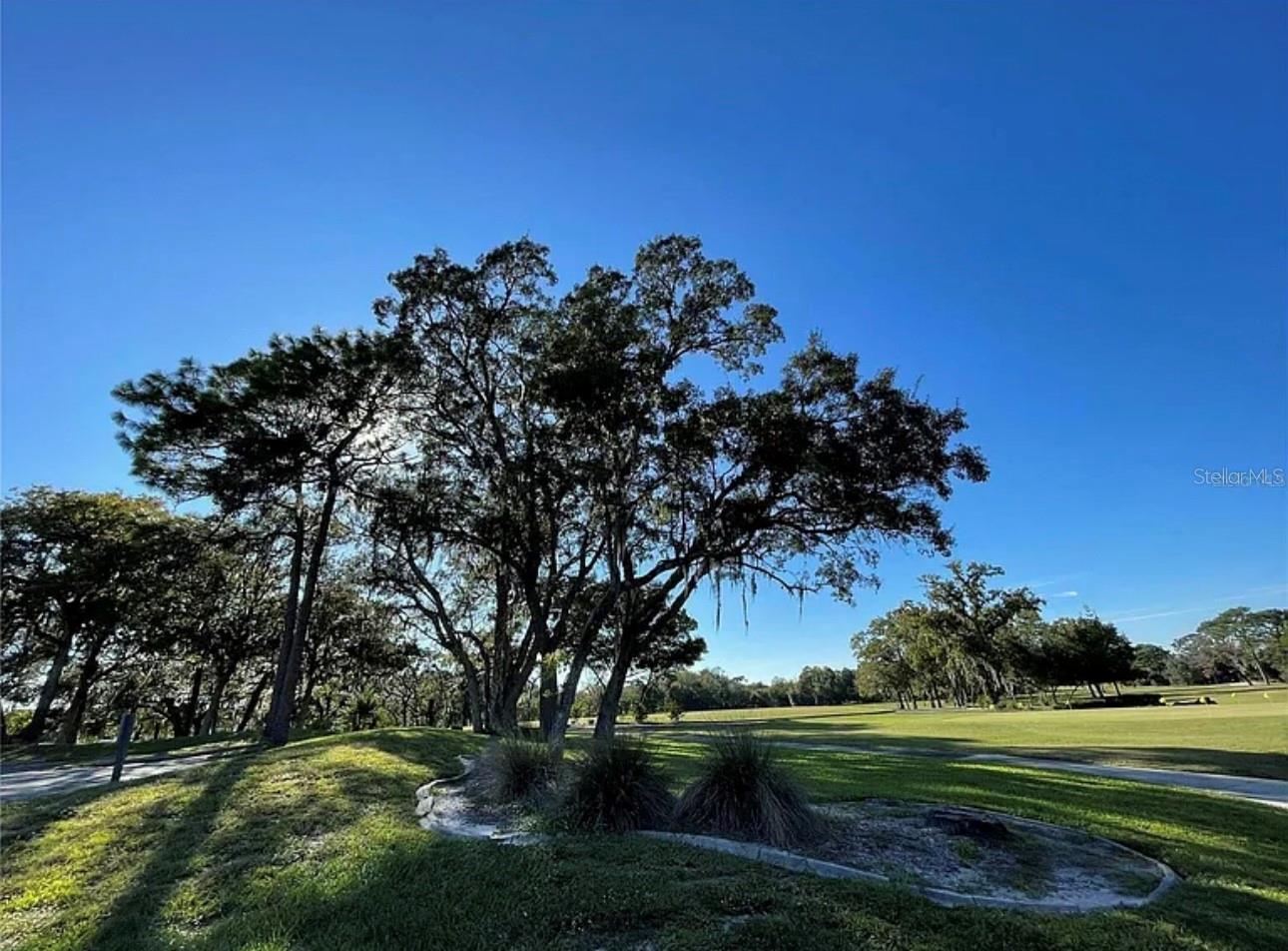 16 MAYTEN CT N, HOMOSASSA, FL — photo 14