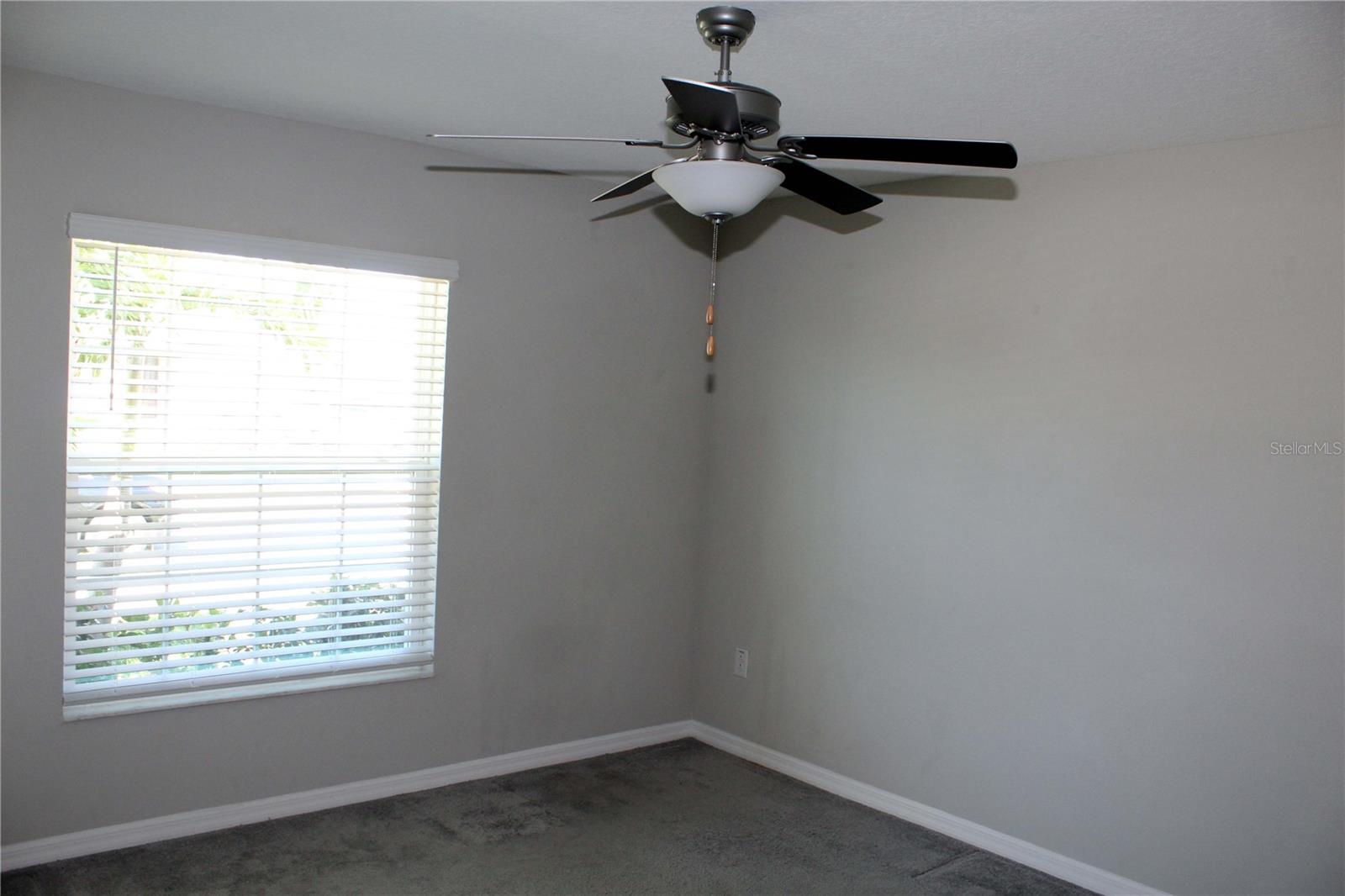17152 SUNSHINE MIMOSA ST, WIMAUMA, FL — photo 5