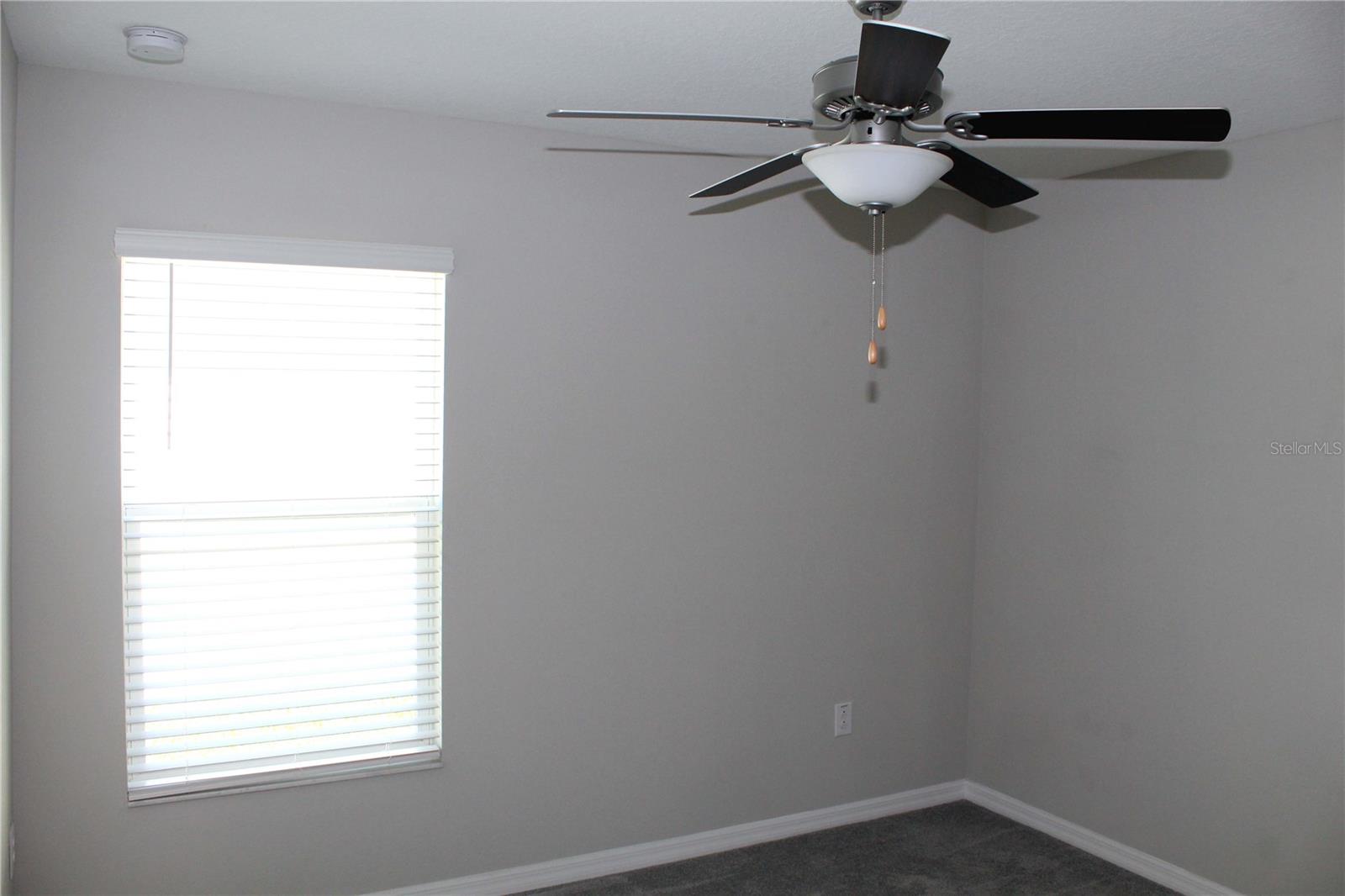 17152 SUNSHINE MIMOSA ST, WIMAUMA, FL — photo 10