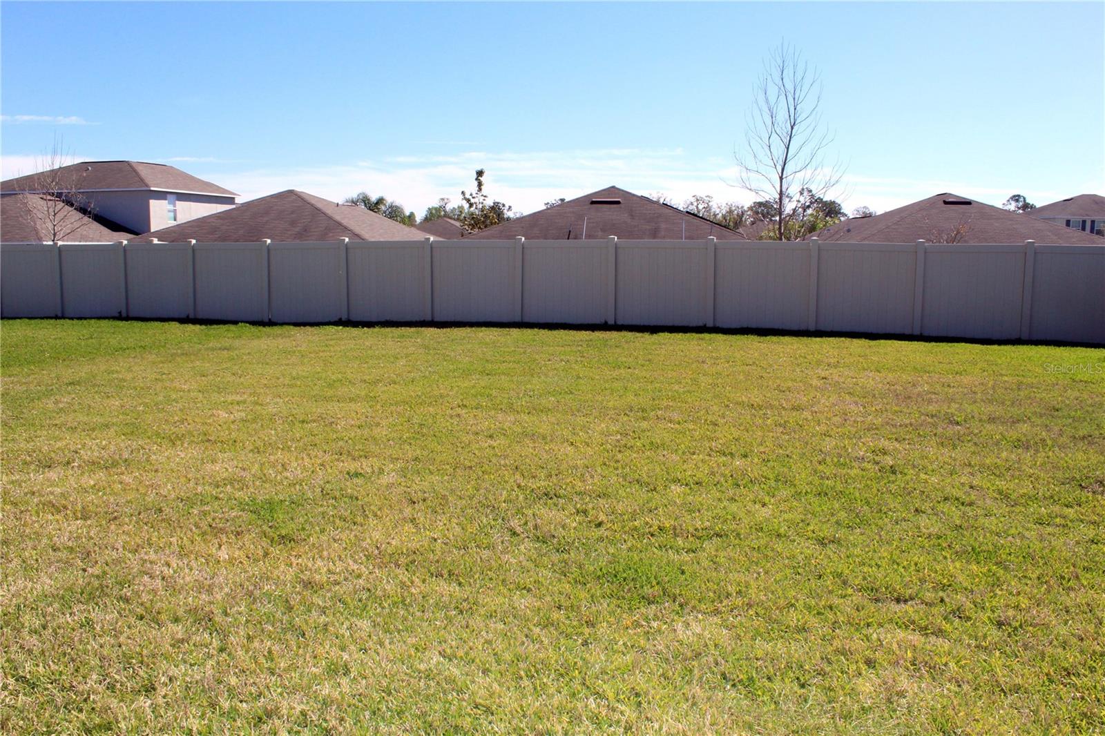 17152 SUNSHINE MIMOSA ST, WIMAUMA, FL — photo 19
