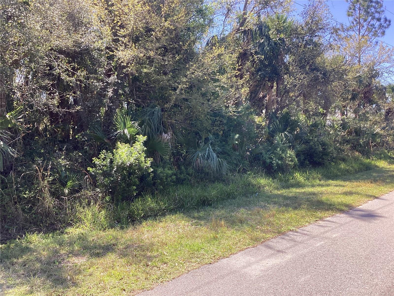 BELLEVILLE TER, NORTH PORT, FL