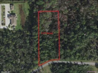 FOREHAND RD — photo 4