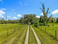 41204 EMERALDA ISLAND RD — photo 10