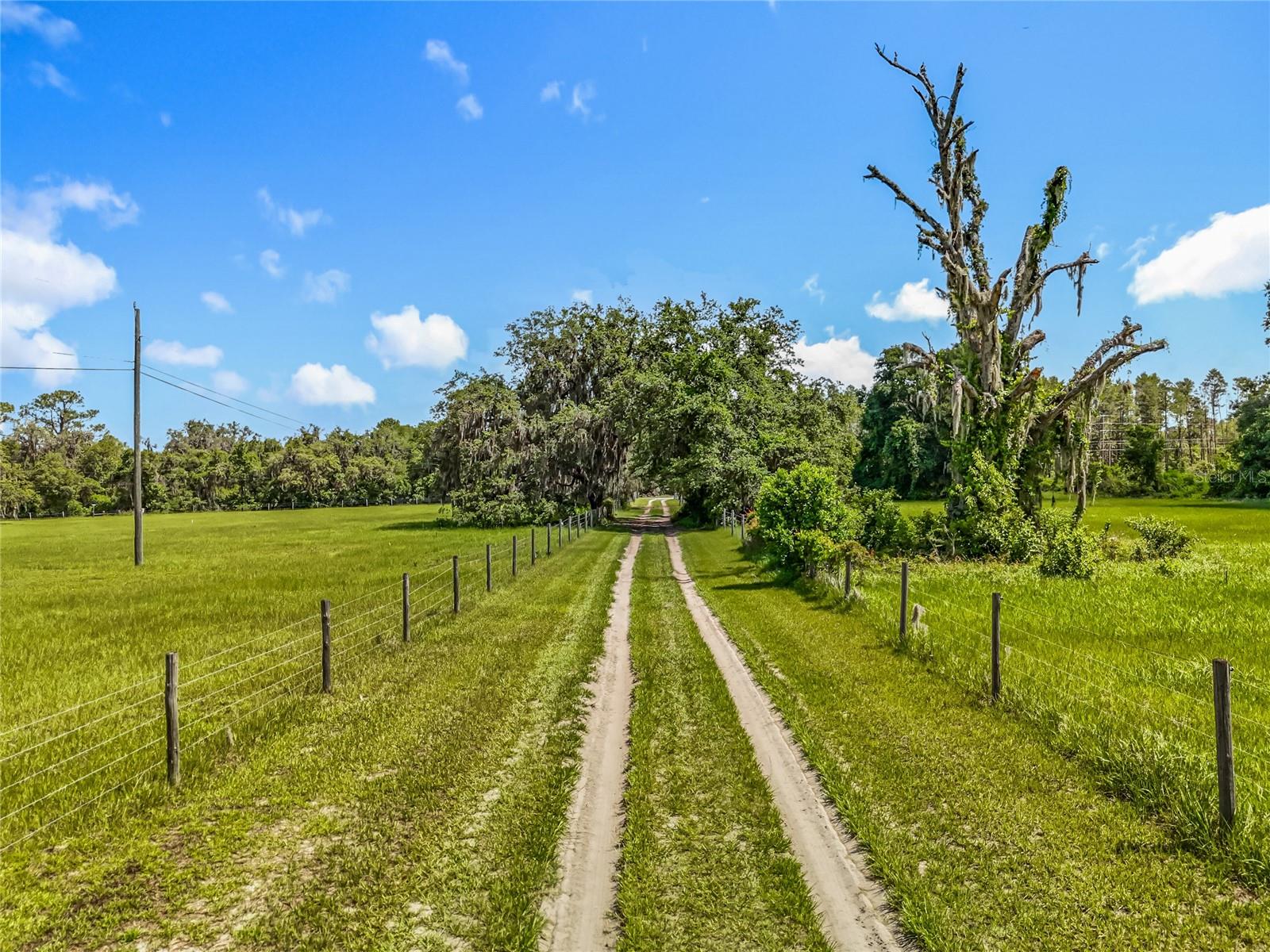 41204 EMERALDA ISLAND RD, LEESBURG, FL — photo 9