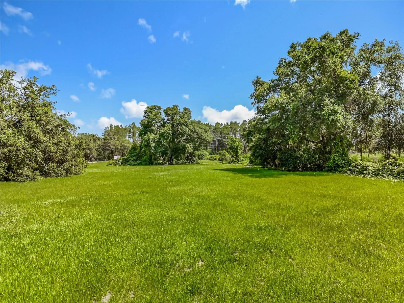 41204 EMERALDA ISLAND RD, LEESBURG, FL — photo 79