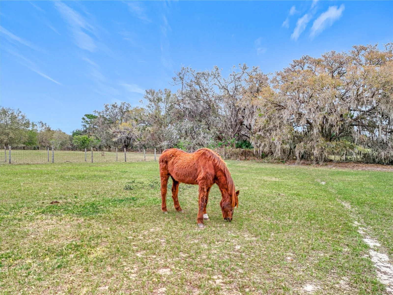 41204 EMERALDA ISLAND RD, LEESBURG, FL — photo 70