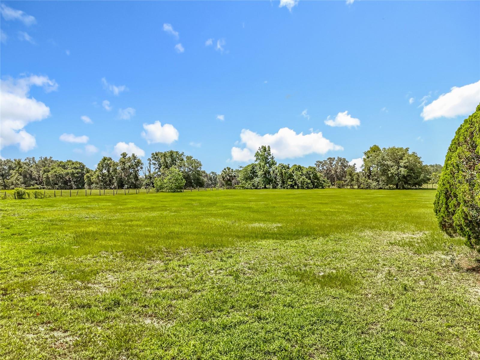 41204 EMERALDA ISLAND RD, LEESBURG, FL — photo 77