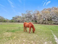 41204 EMERALDA ISLAND RD — photo 67