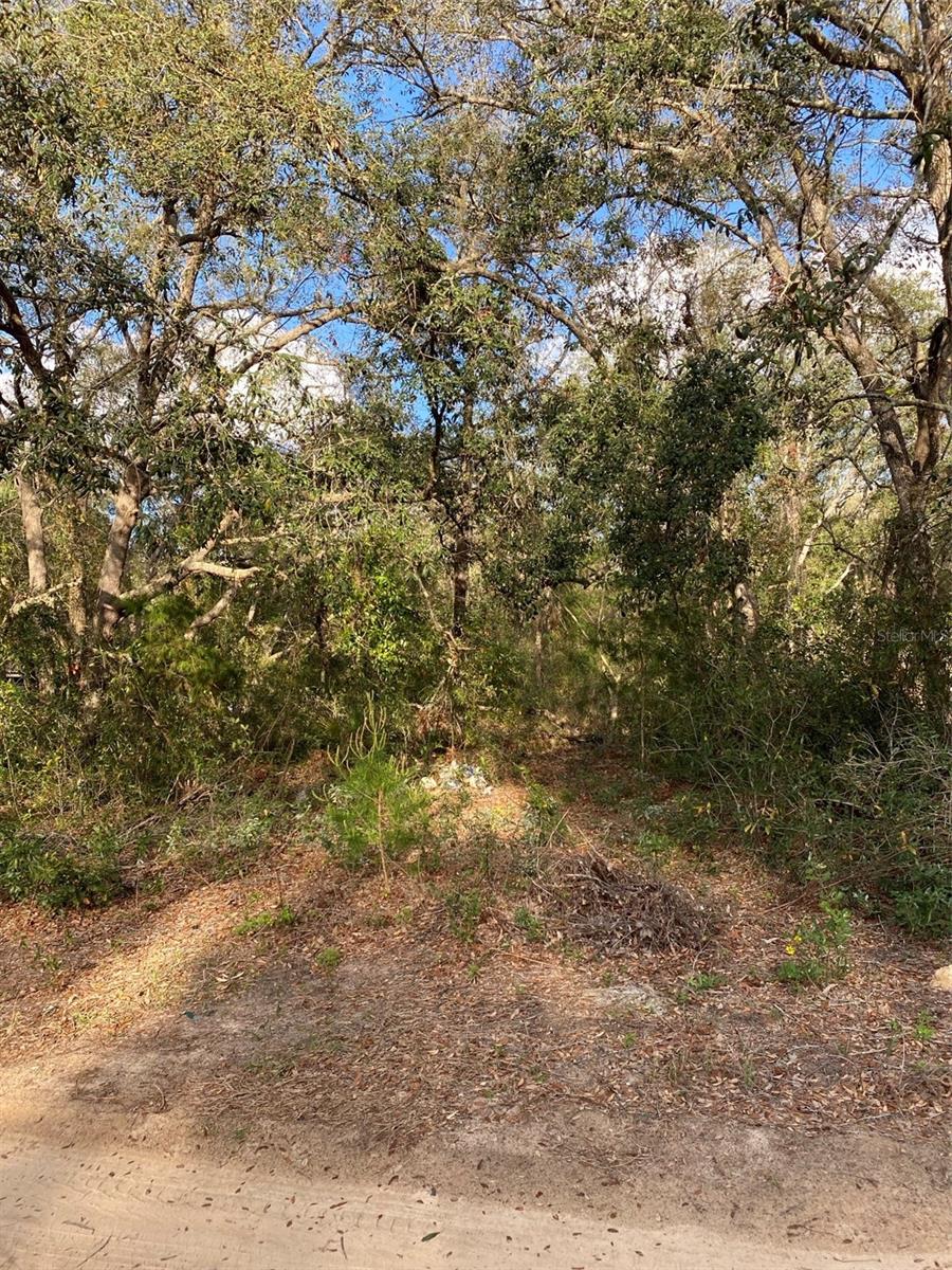 DOGWOOD WAY, LADY LAKE, FL
