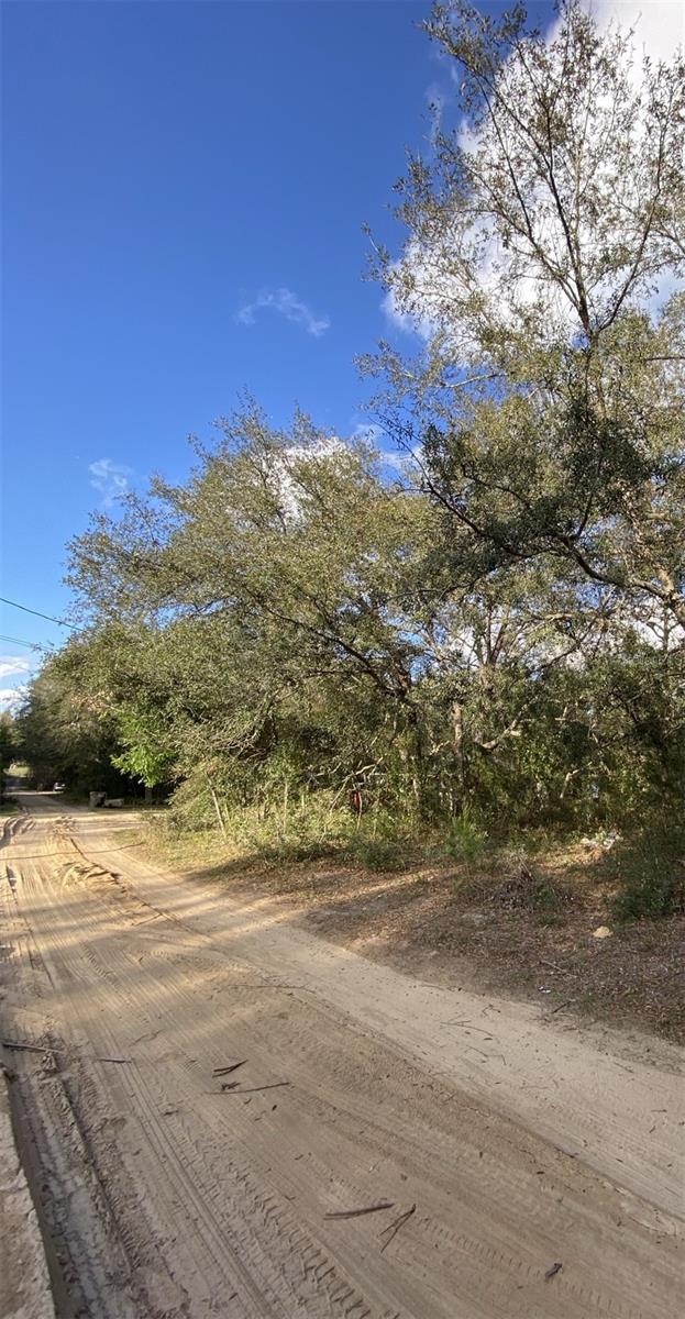 DOGWOOD WAY, LADY LAKE, FL — photo 11