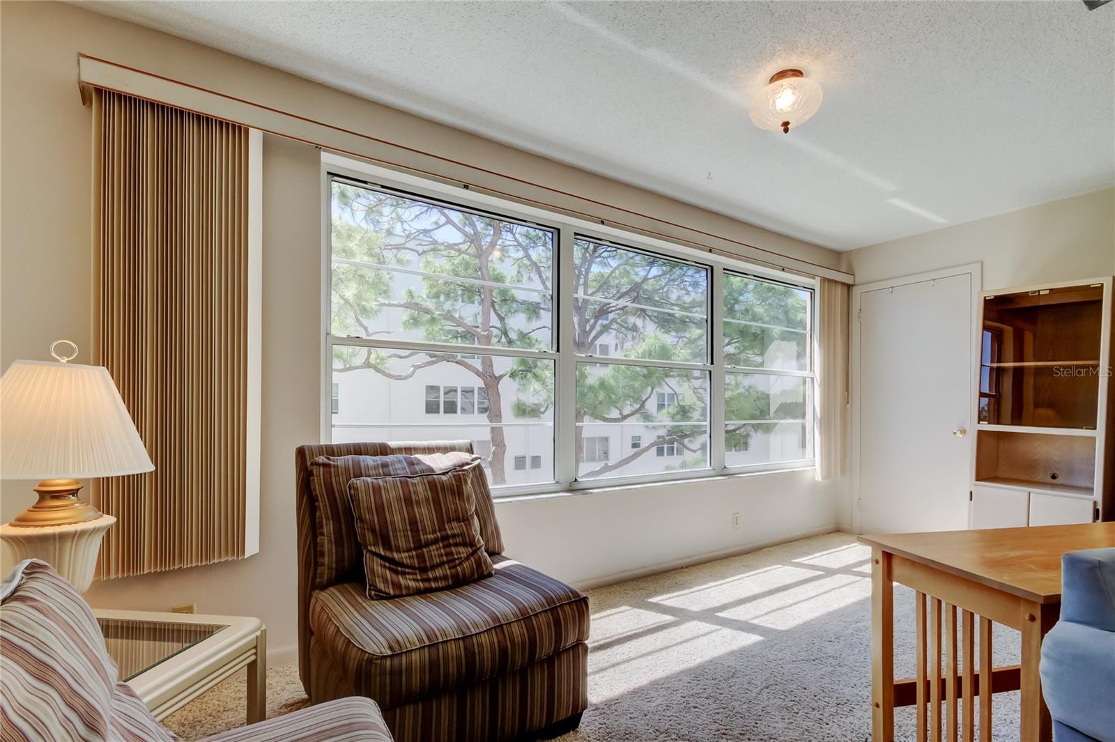 5521 80TH ST N #315, ST PETERSBURG, FL — photo 13