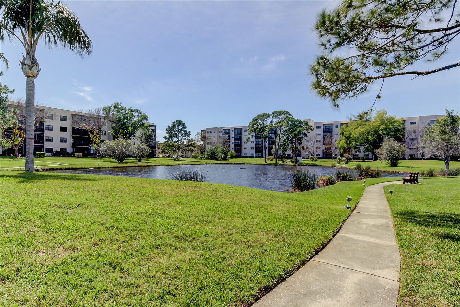 5521 80TH ST N #315, ST PETERSBURG, FL — photo 44