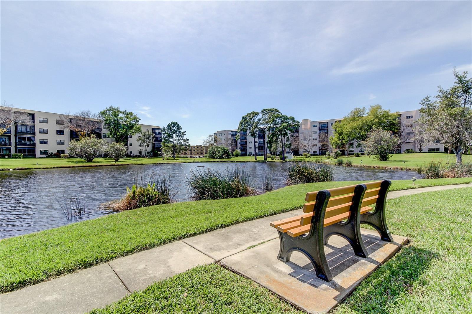 5521 80TH ST N #315, ST PETERSBURG, FL — photo 45