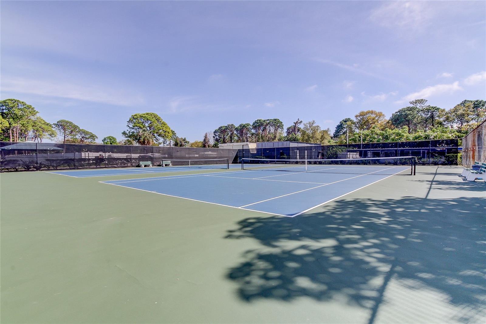 5521 80TH ST N #315, ST PETERSBURG, FL — photo 47
