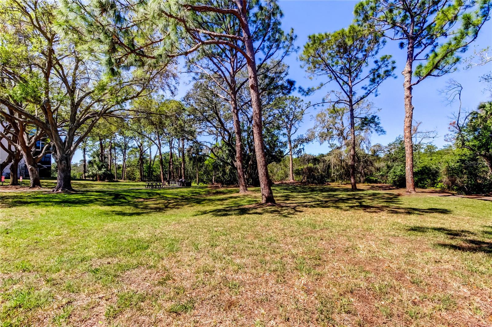 5521 80TH ST N #315, ST PETERSBURG, FL — photo 49