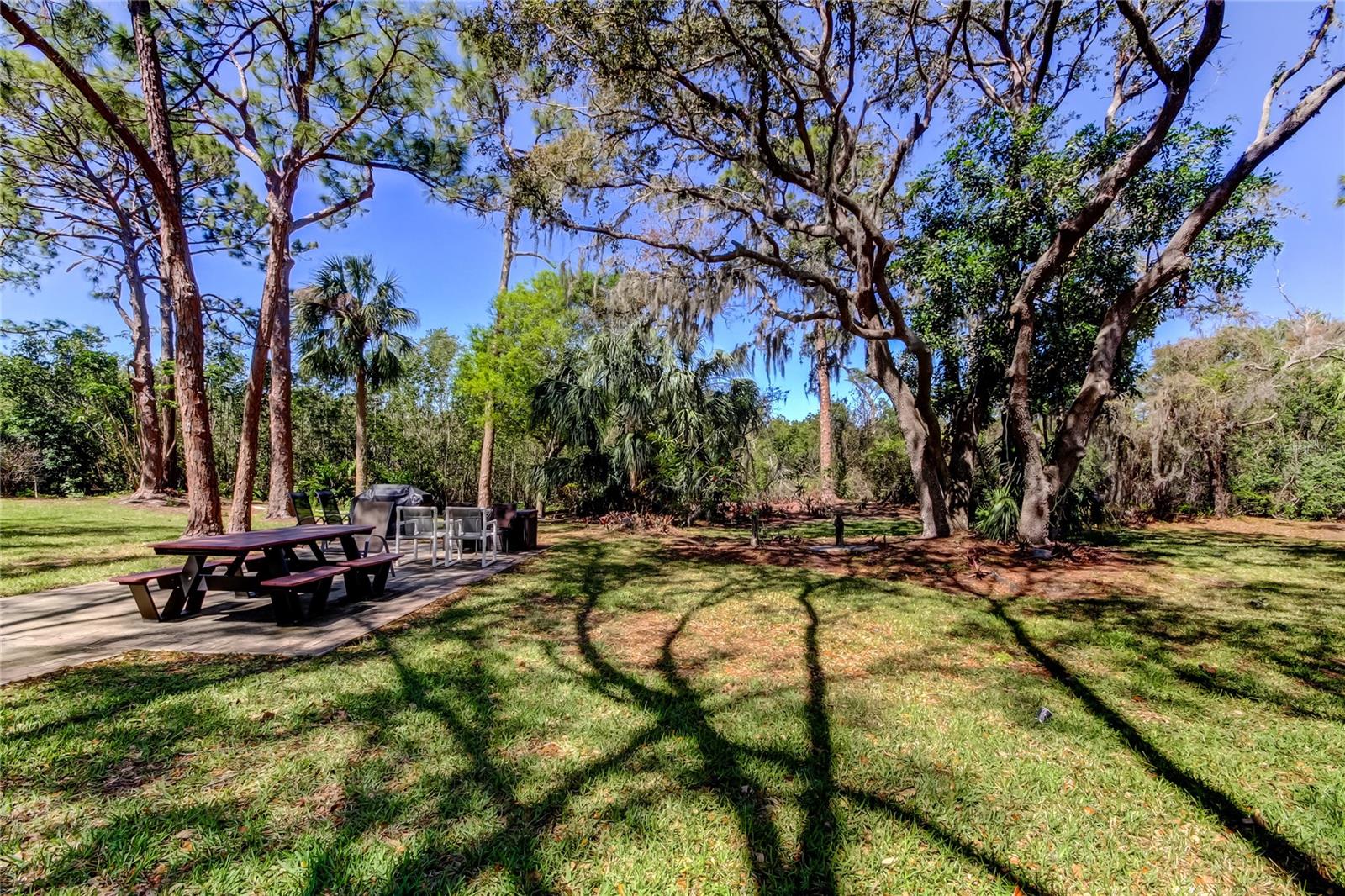 5521 80TH ST N #315, ST PETERSBURG, FL — photo 50