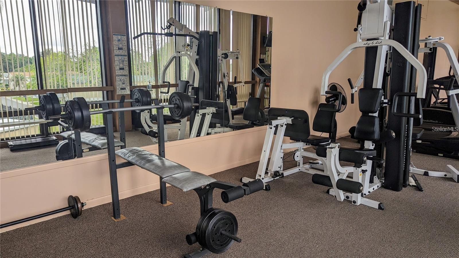 1007 FOREST LAKE DR, LAKELAND, FL — photo 36