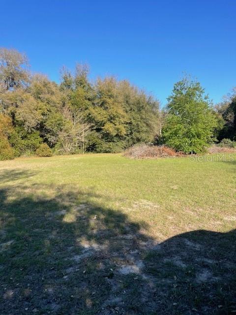 31415 ORANGE ST, SORRENTO, FL — photo 5