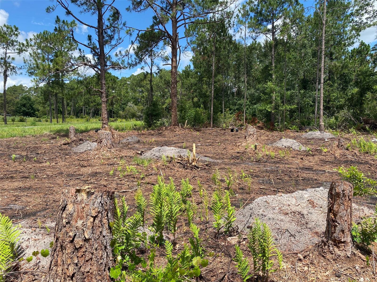 2101 W FROSTPROOF RD, FROSTPROOF, FL