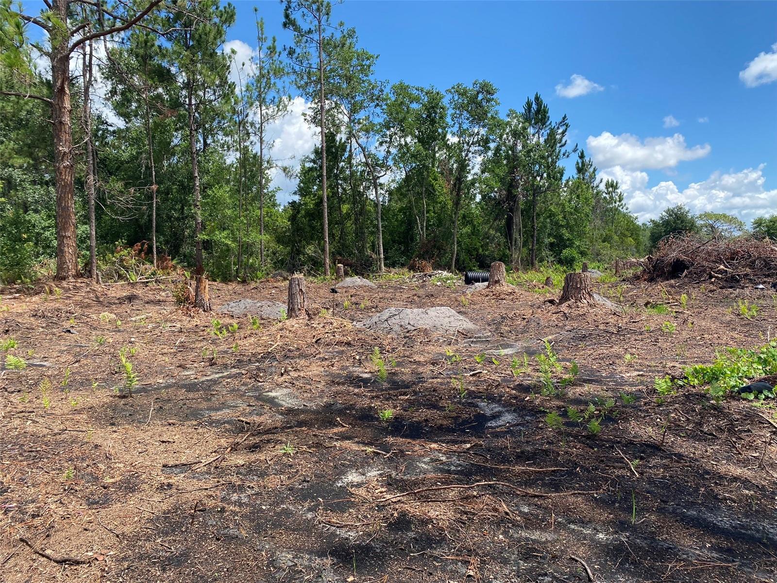 2101 W FROSTPROOF RD, FROSTPROOF, FL — photo 2