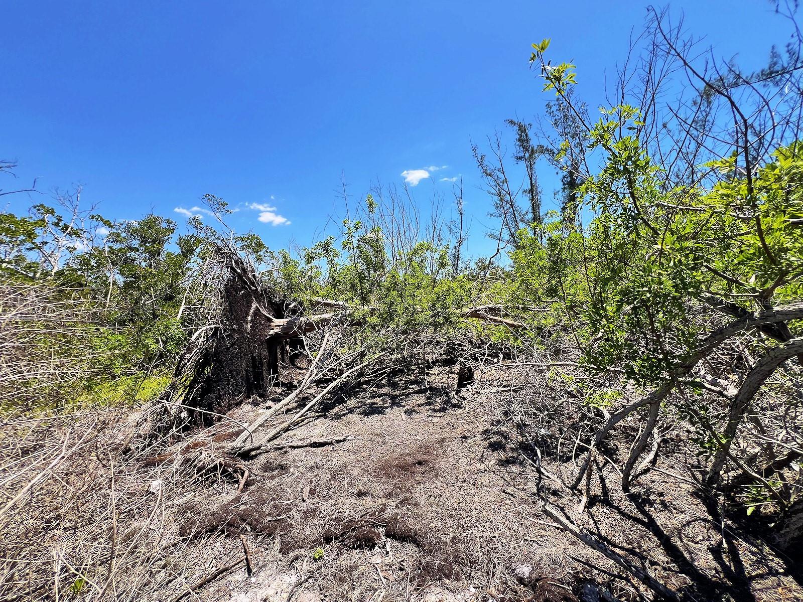 MANASOTA KEY ISLAND PROPERTY, ENGLEWOOD, FL — photo 13