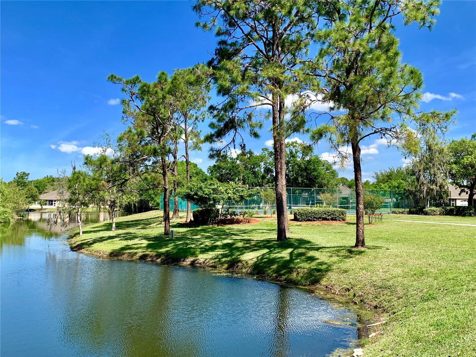 11817 BAYONET LN, NEW PORT RICHEY, FL — photo 32
