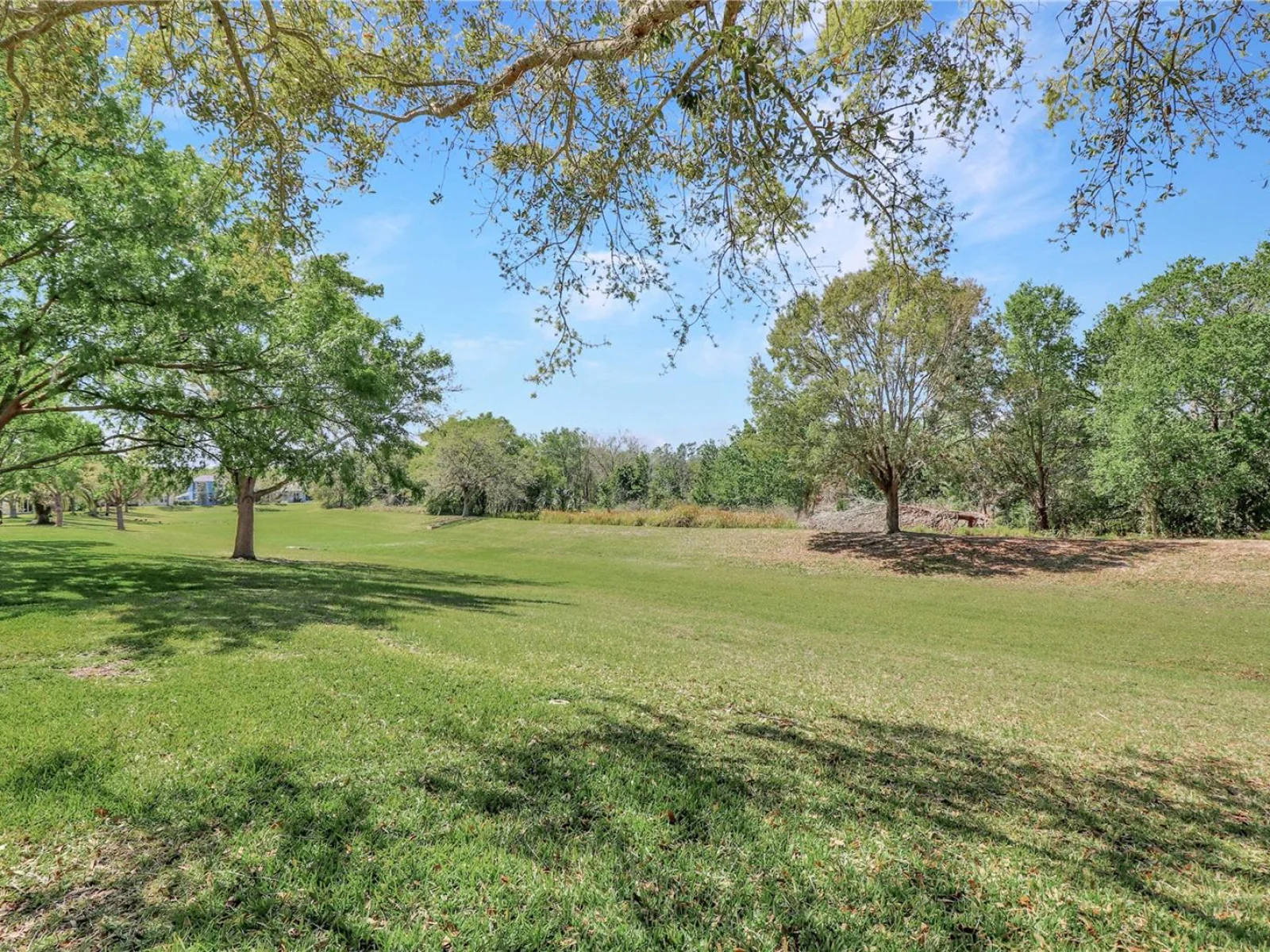 20751 QUEEN ALEXANDRA DR, LEESBURG, FL — photo 49