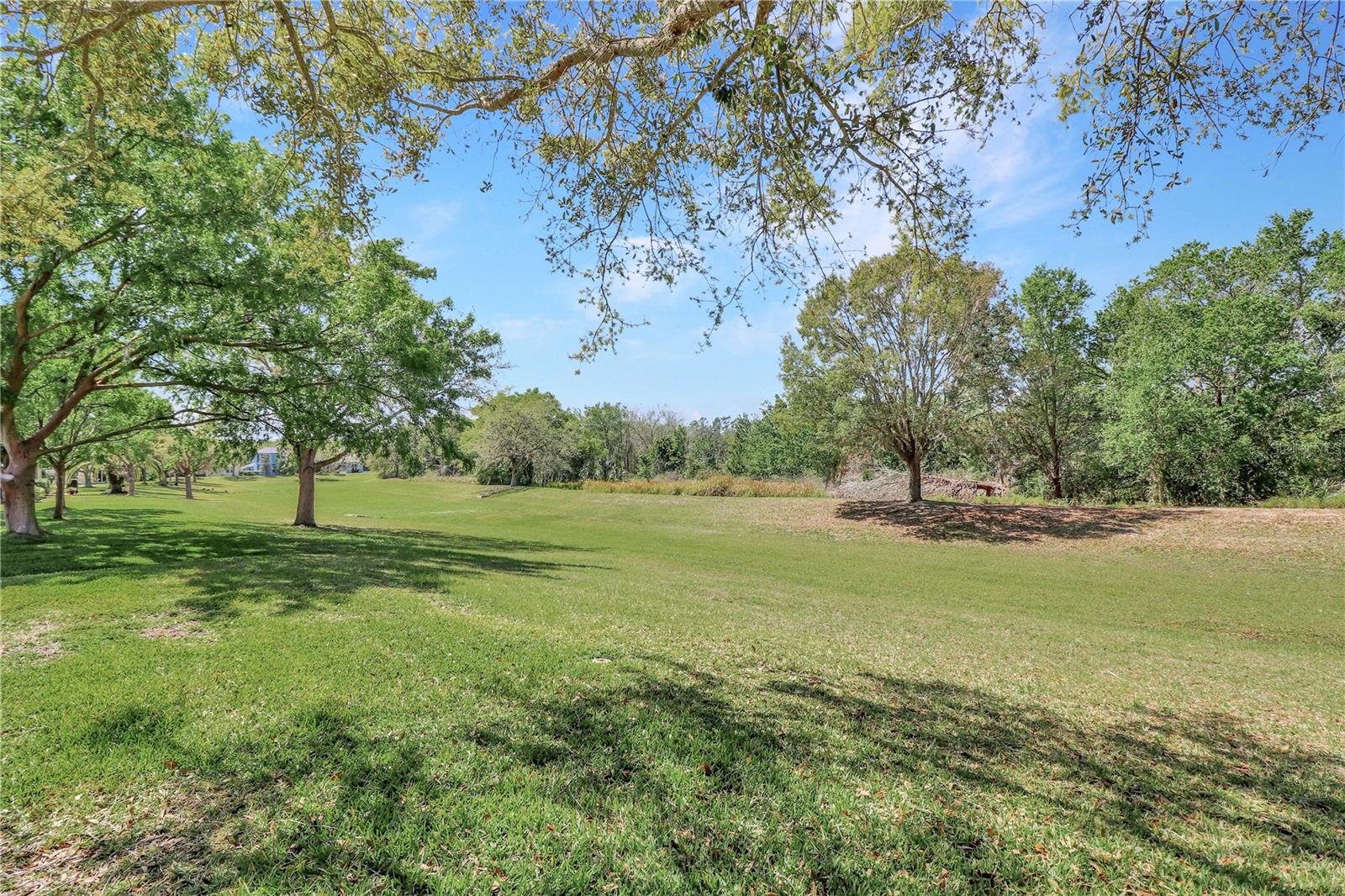 20751 QUEEN ALEXANDRA DR, LEESBURG, FL — photo 50