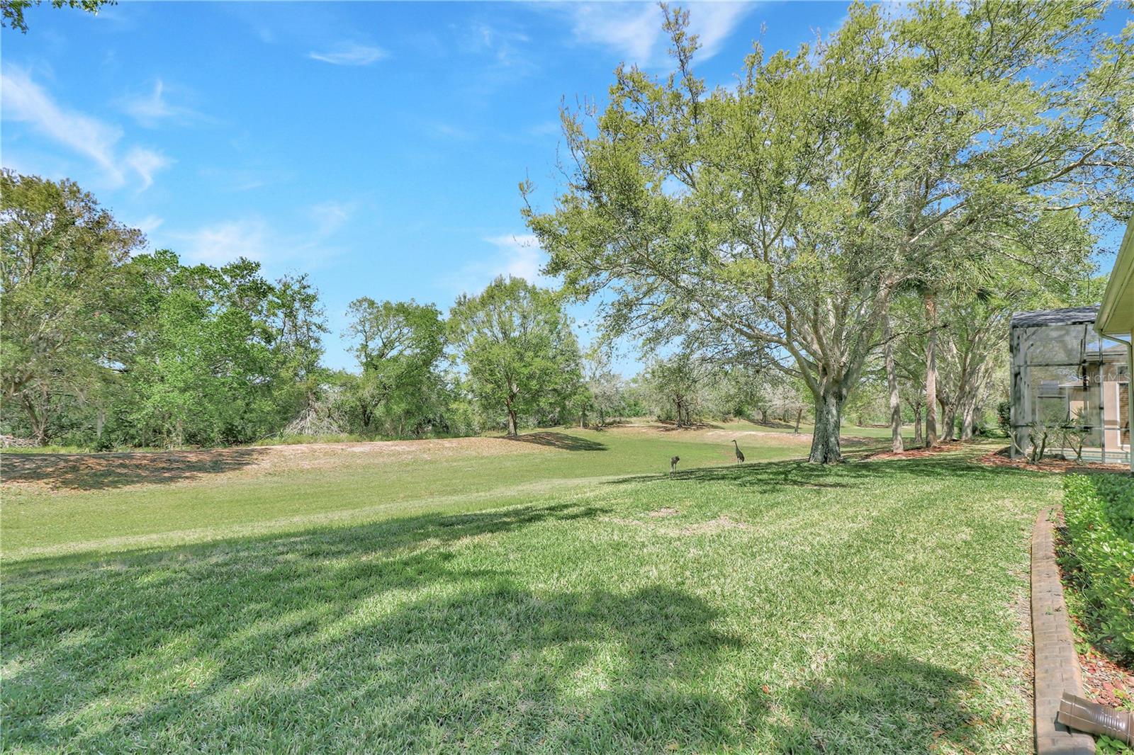 20751 QUEEN ALEXANDRA DR, LEESBURG, FL — photo 51