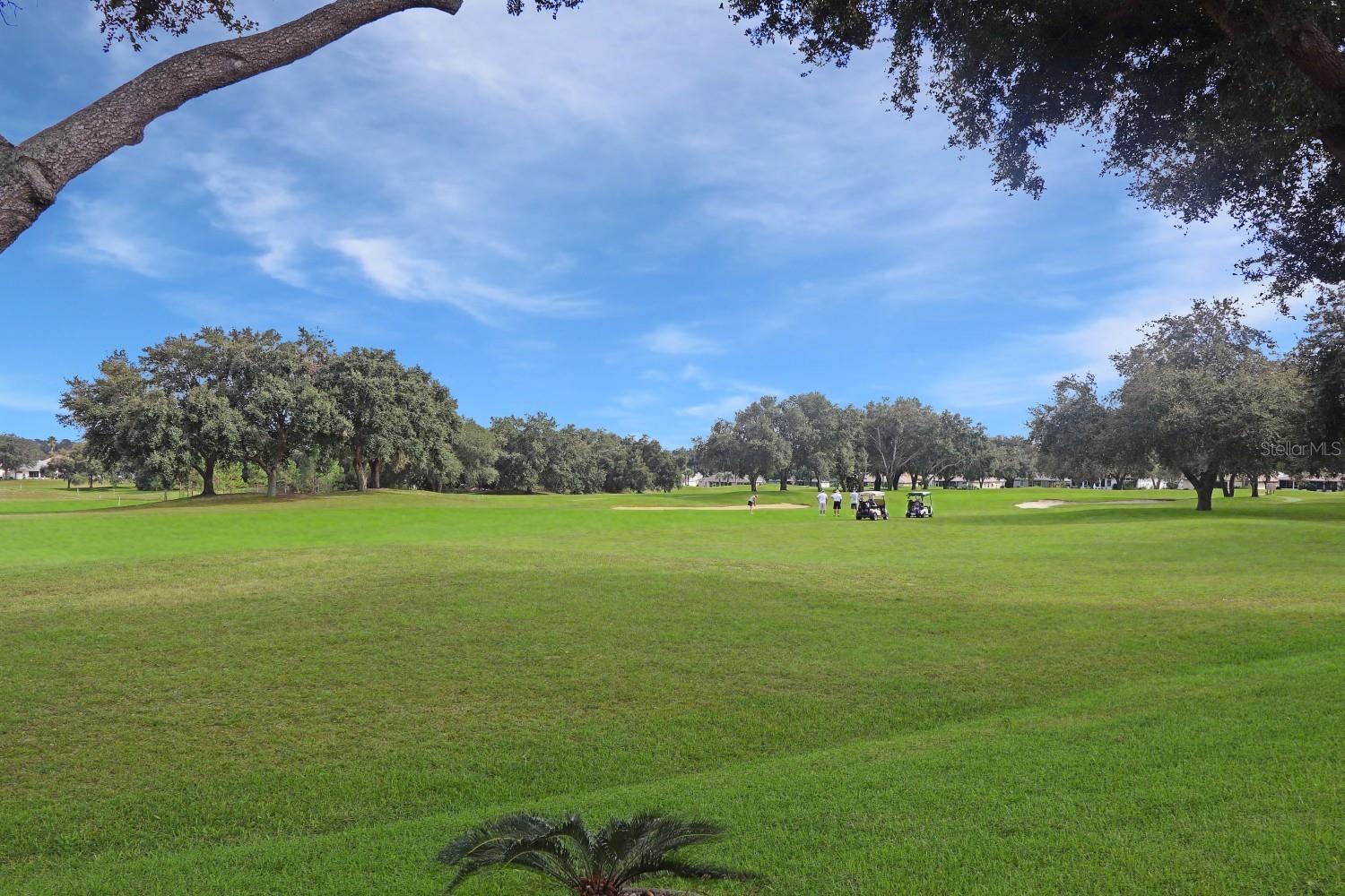20751 QUEEN ALEXANDRA DR, LEESBURG, FL — photo 91