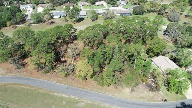 5339 KEYSVILLE AVE, SPRING HILL, FL — photo 4