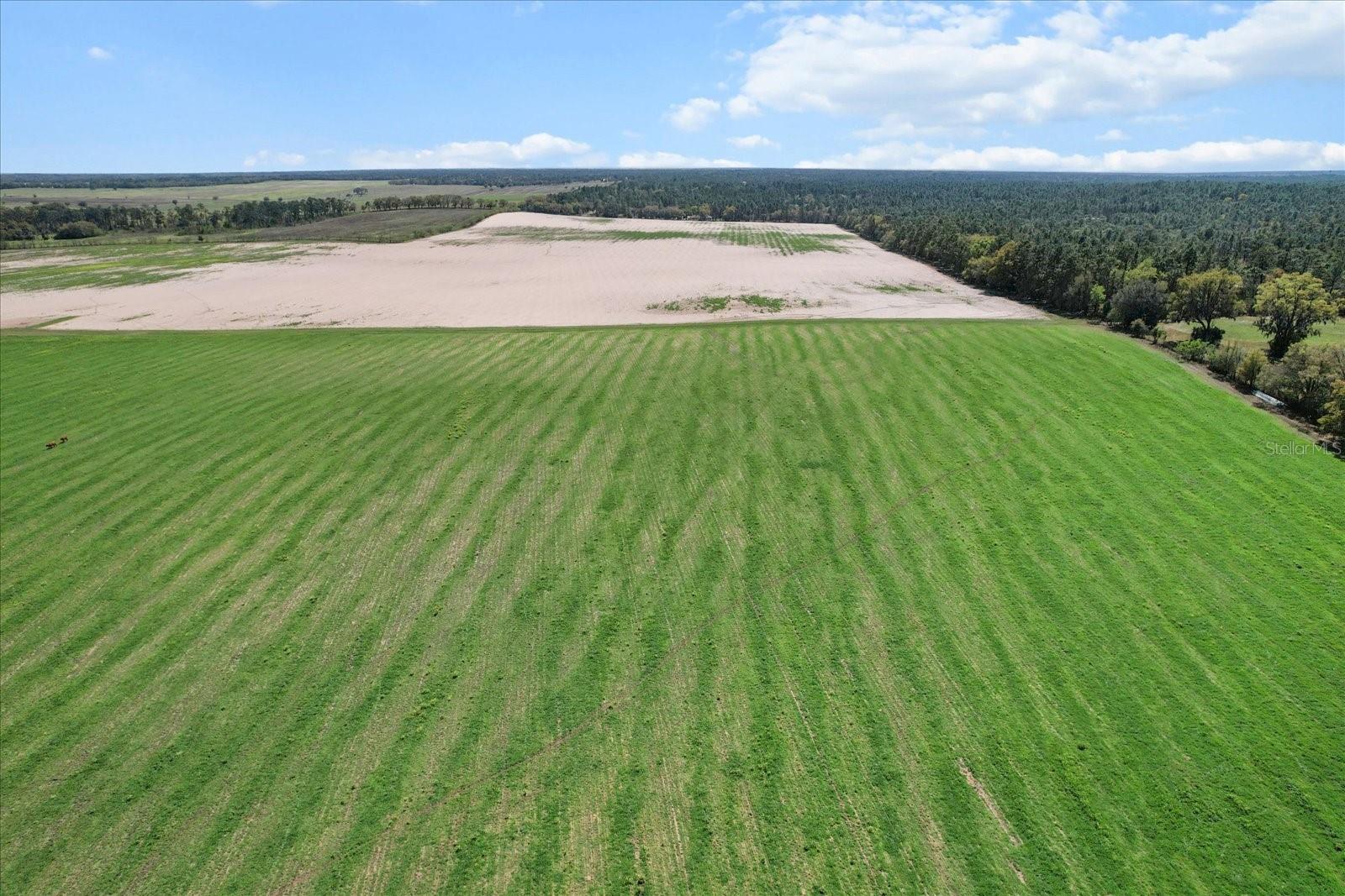 (190 AC-see addt'l PID's) NW 225TH AVE, DUNNELLON, FL — photo 9