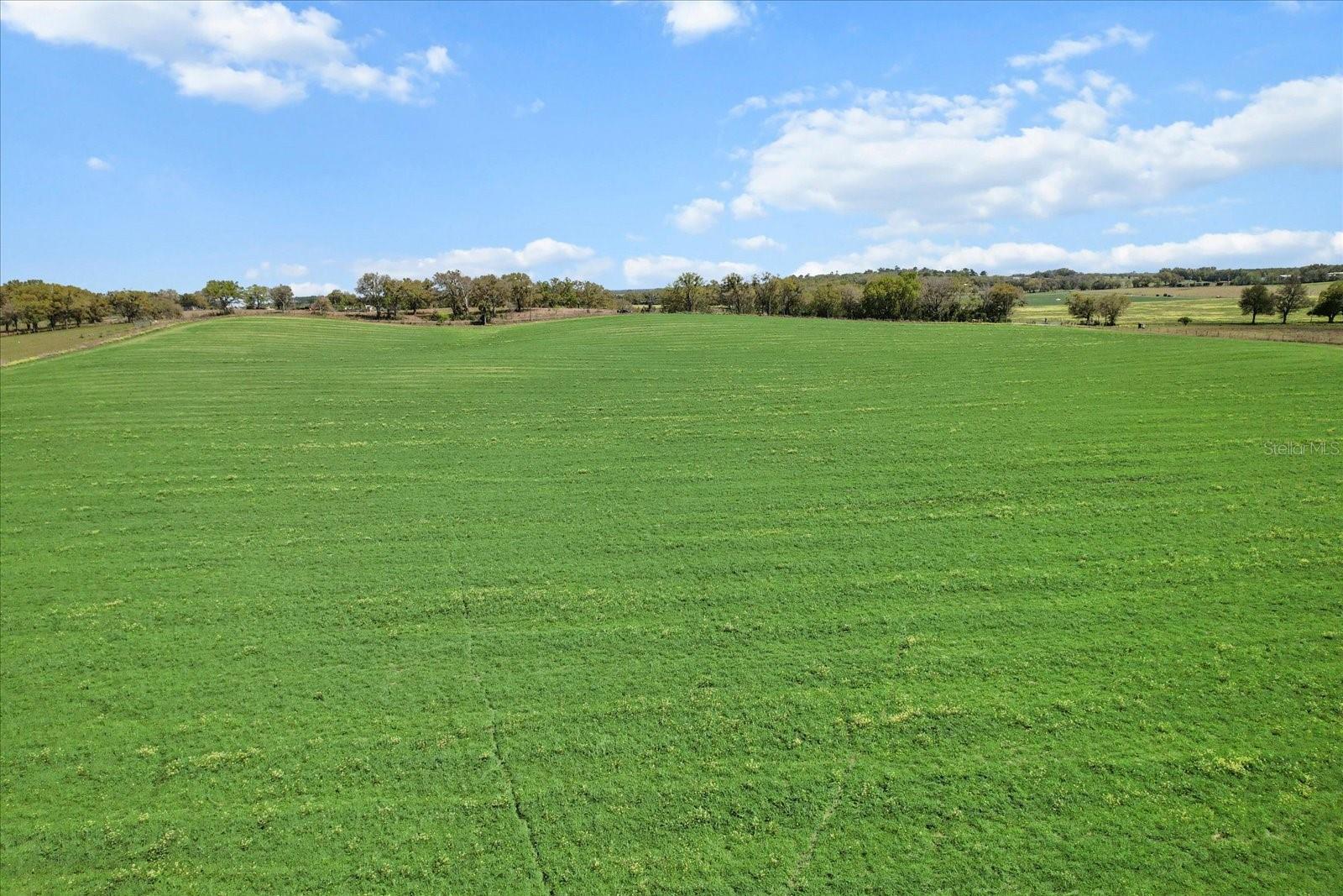 (190 AC-see addt'l PID's) NW 225TH AVE, DUNNELLON, FL — photo 12