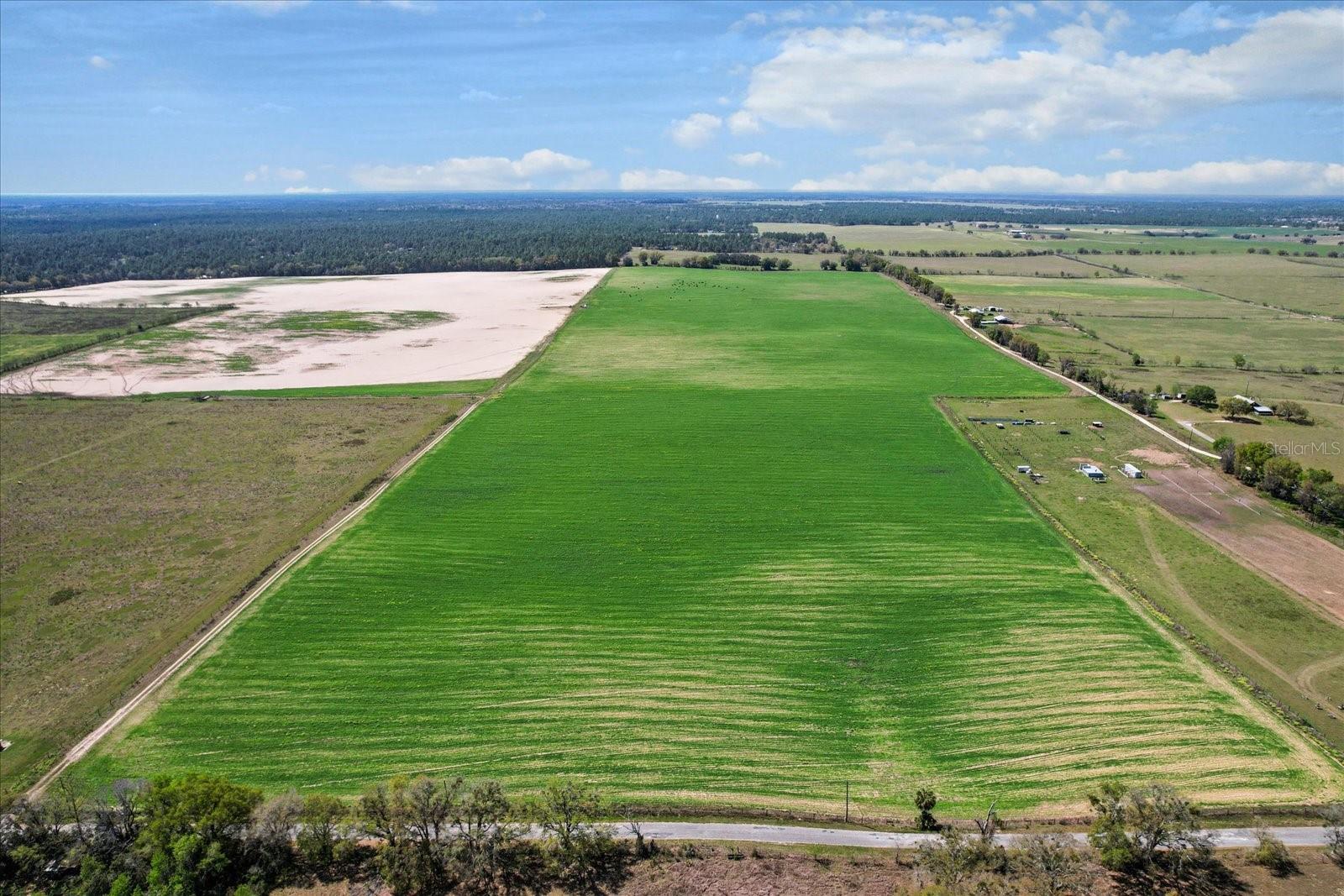 (190 AC-see addt'l PID's) NW 225TH AVE, DUNNELLON, FL