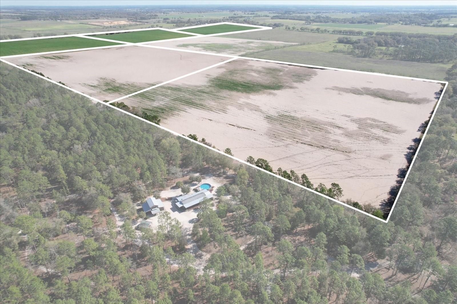 (190 AC-see addt'l PID's) NW 225TH AVE, DUNNELLON, FL — photo 16