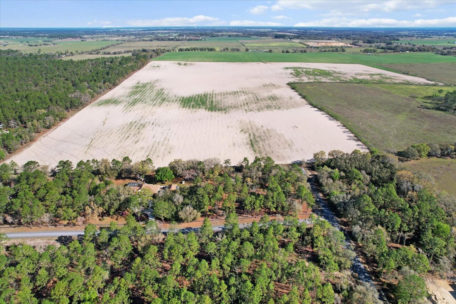 (190 AC-see addt'l PID's) NW 225TH AVE, DUNNELLON, FL — photo 18