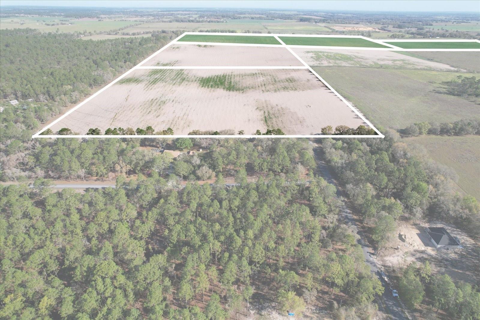 (190 AC-see addt'l PID's) NW 225TH AVE, DUNNELLON, FL — photo 20