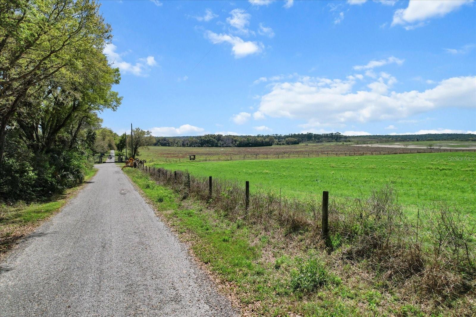 (190 AC-see addt'l PID's) NW 225TH AVE, DUNNELLON, FL — photo 3