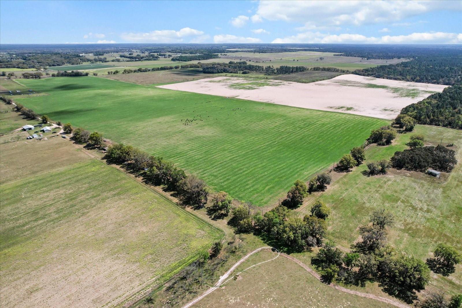 (190 AC-see addt'l PID's) NW 225TH AVE, DUNNELLON, FL — photo 6
