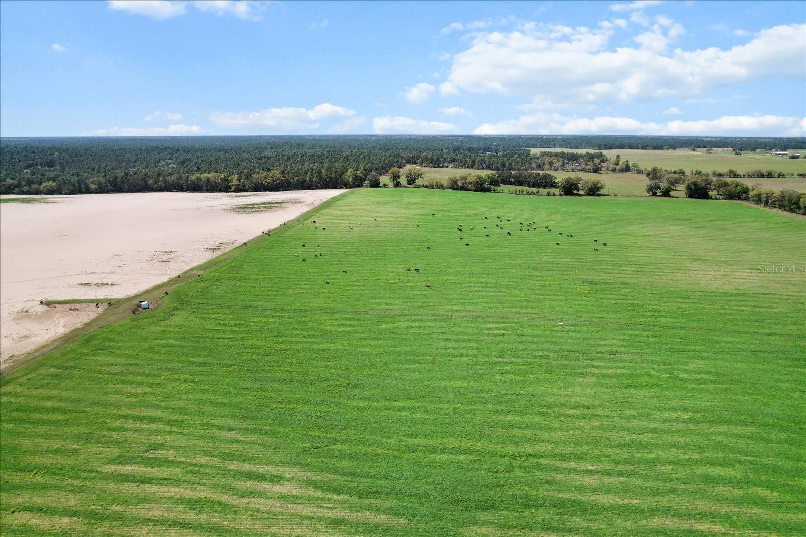 (190 AC-see addt'l PID's) NW 225TH AVE, DUNNELLON, FL — photo 10