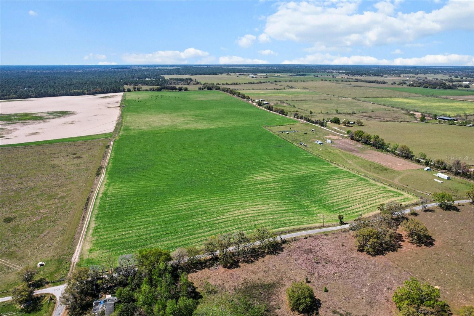 (190 AC-see addt'l PID's) NW 225TH AVE, DUNNELLON, FL — photo 14