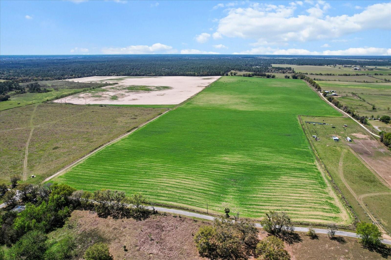 (190 AC-see addt'l PID's) NW 225TH AVE, DUNNELLON, FL — photo 15