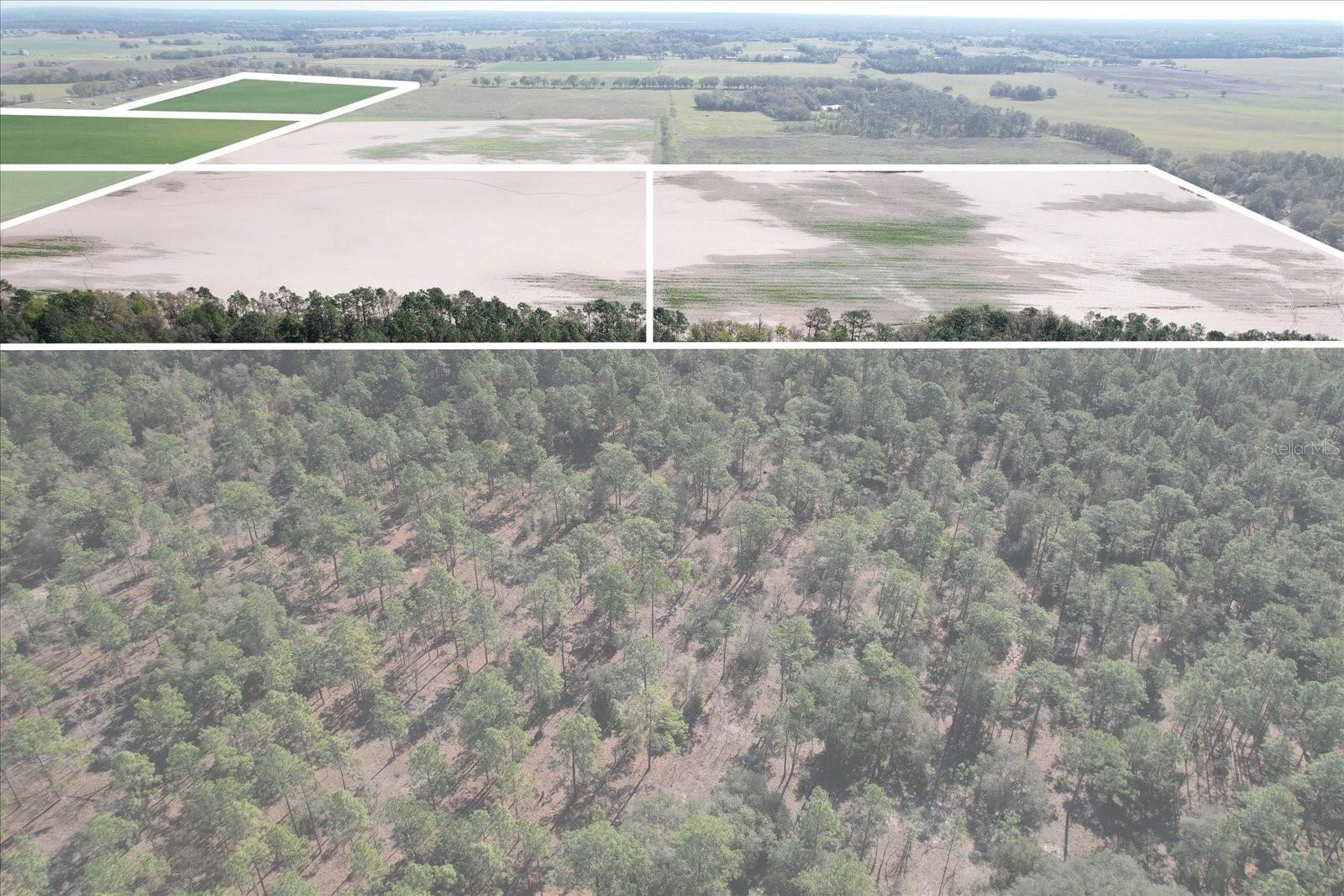 (190 AC-see addt'l PID's) NW 225TH AVE, DUNNELLON, FL — photo 19