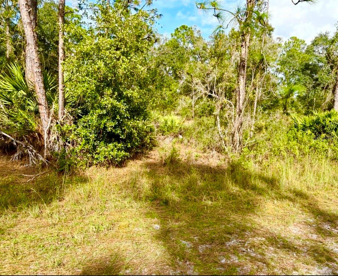 OLEANDER DR, INDIAN LAKE ESTATES, FL