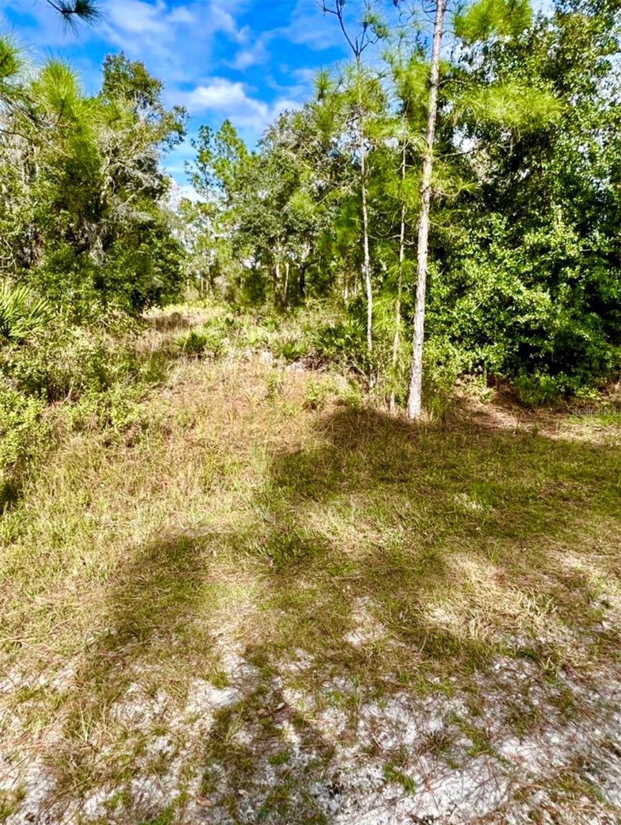 OLEANDER DR, INDIAN LAKE ESTATES, FL — photo 2