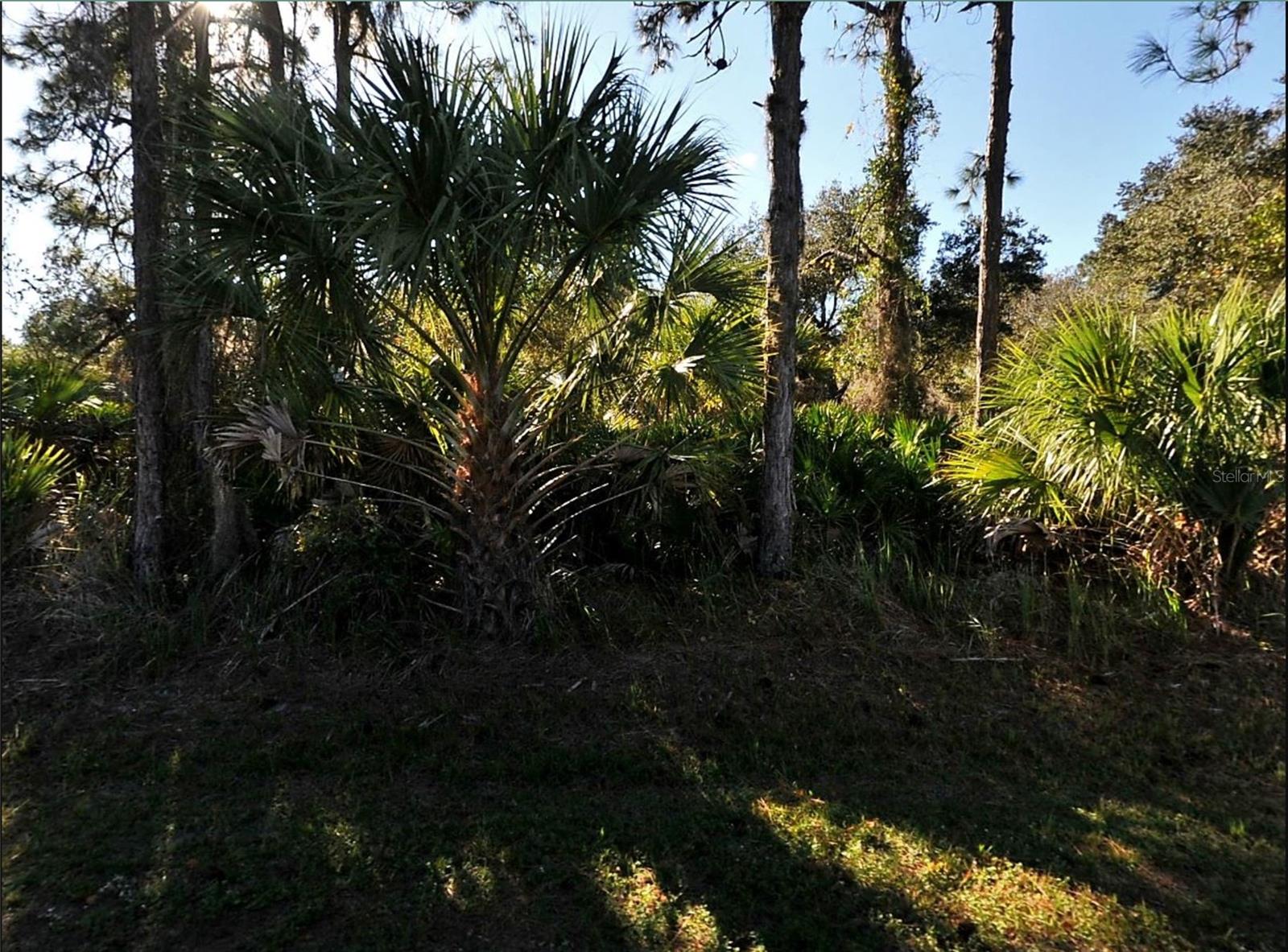 LOT 17 RUIZ ST, NORTH PORT, FL