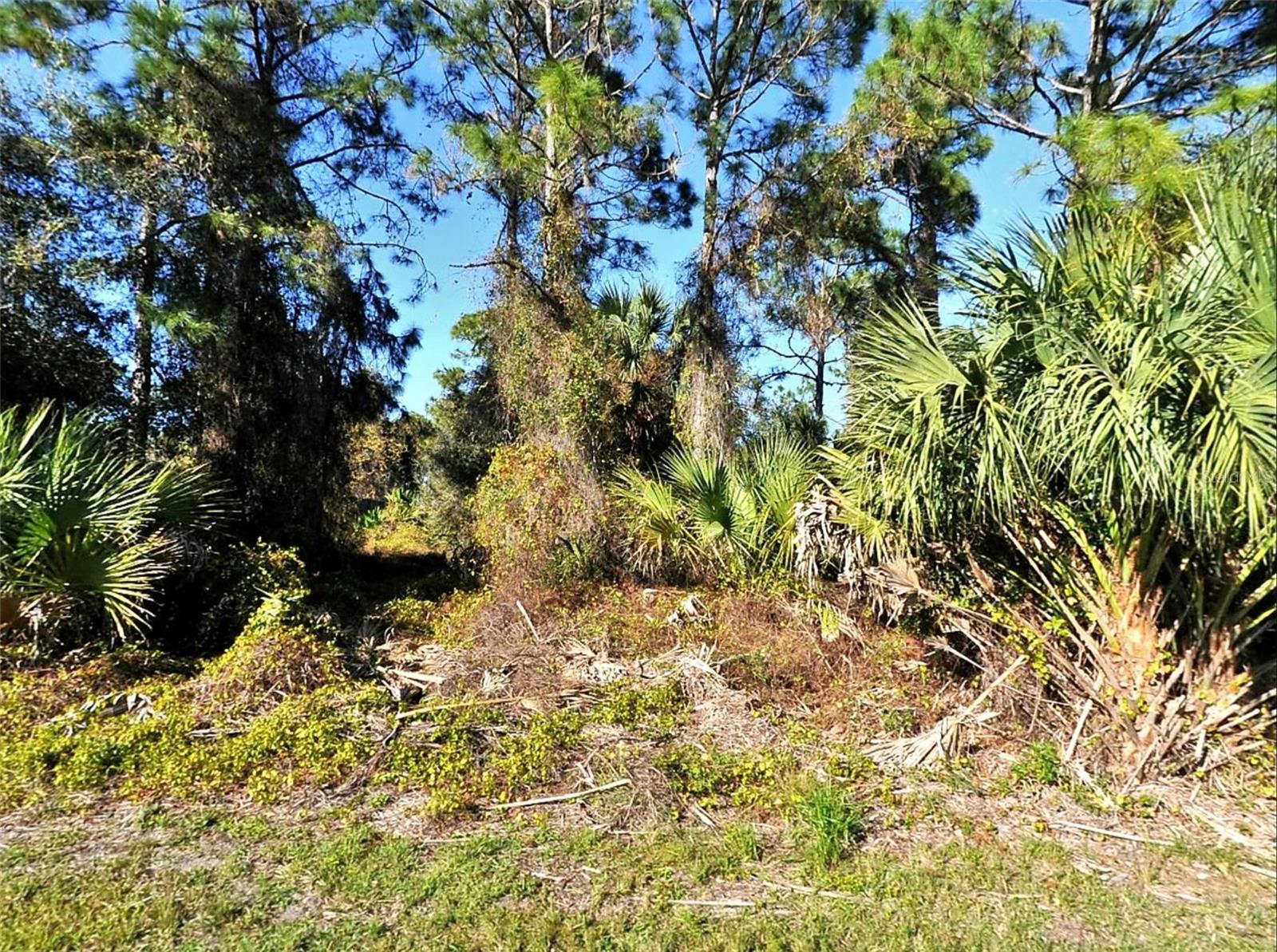 LOT 24 RENFRO AVE, NORTH PORT, FL